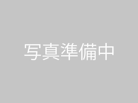 単品 ラーメン